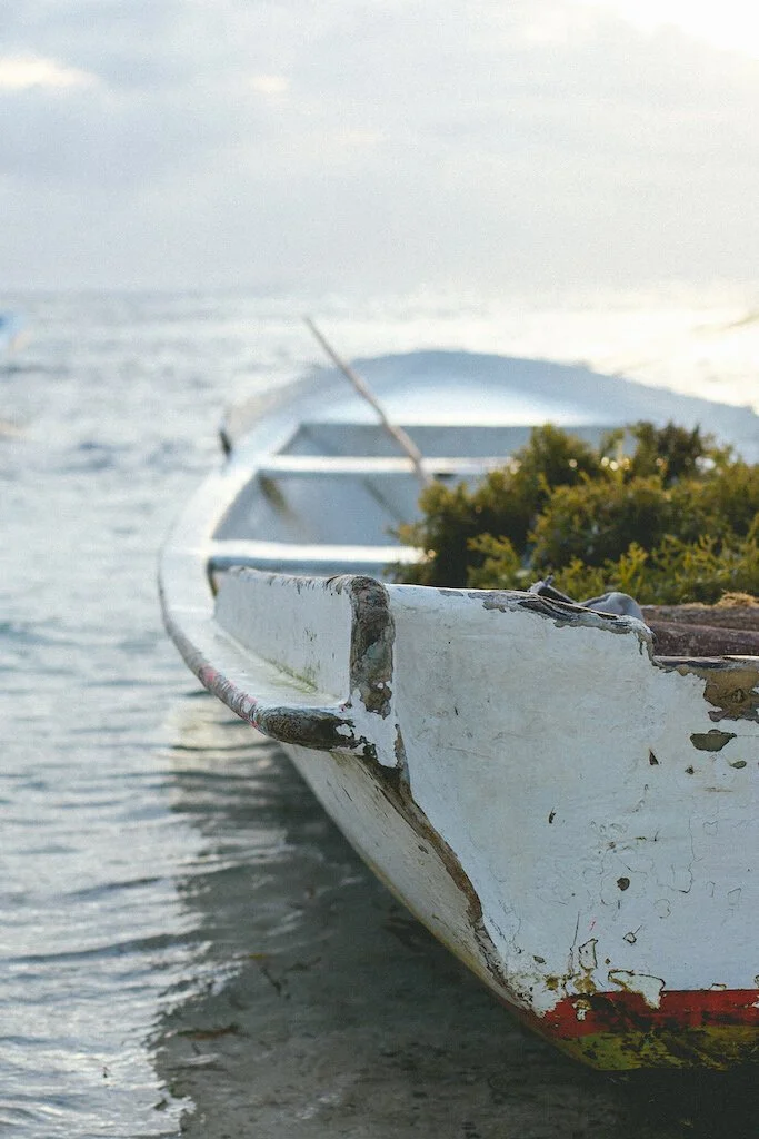 Brita Potenza - Wander