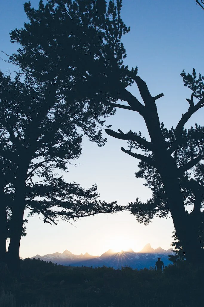 Brita Potenza - Wander