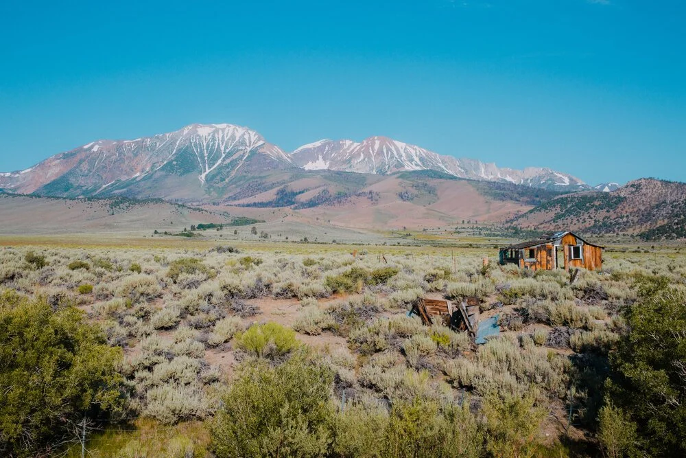 Brita Potenza - Wander