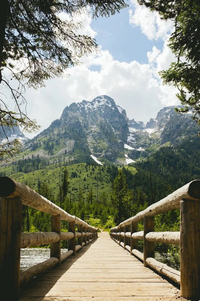 Brita Potenza - Wander