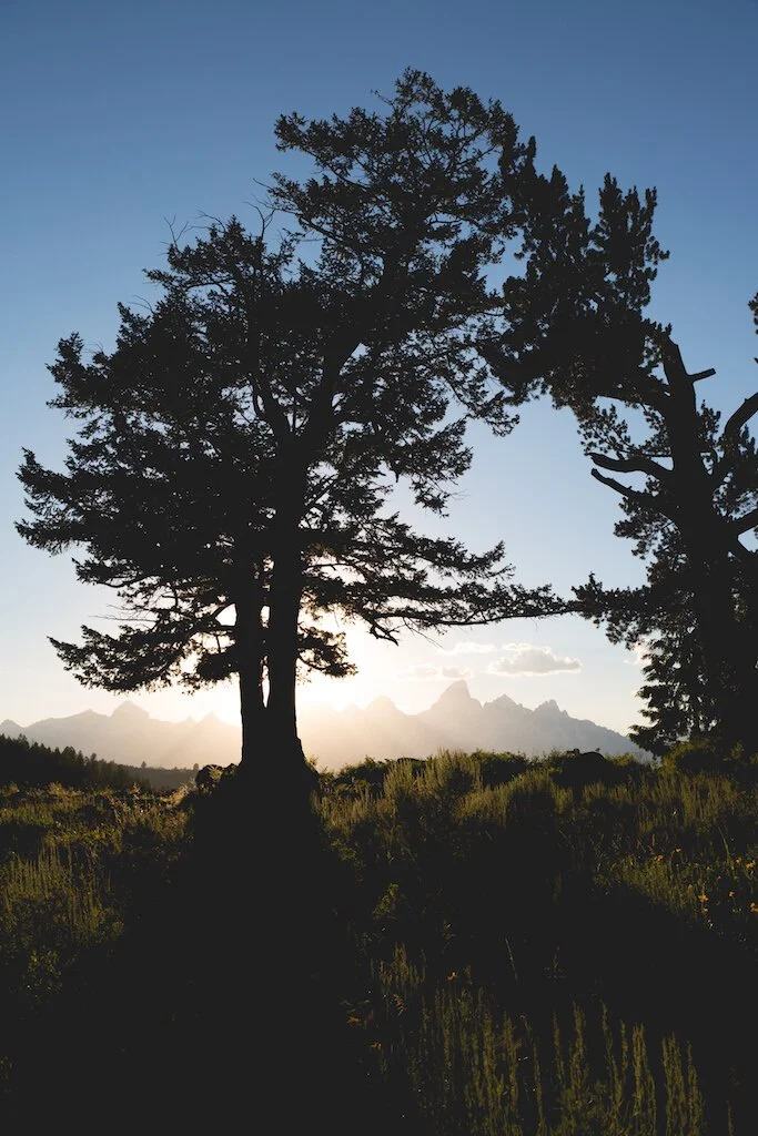 Brita Potenza - Wander