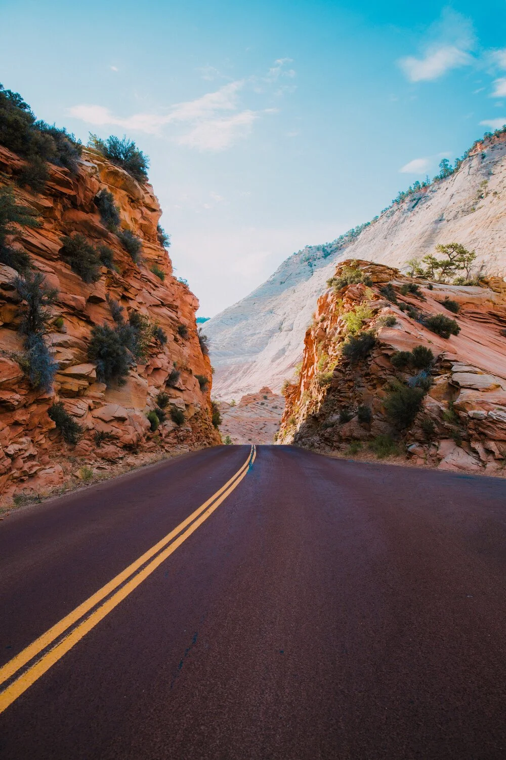 Brita Potenza - Wander