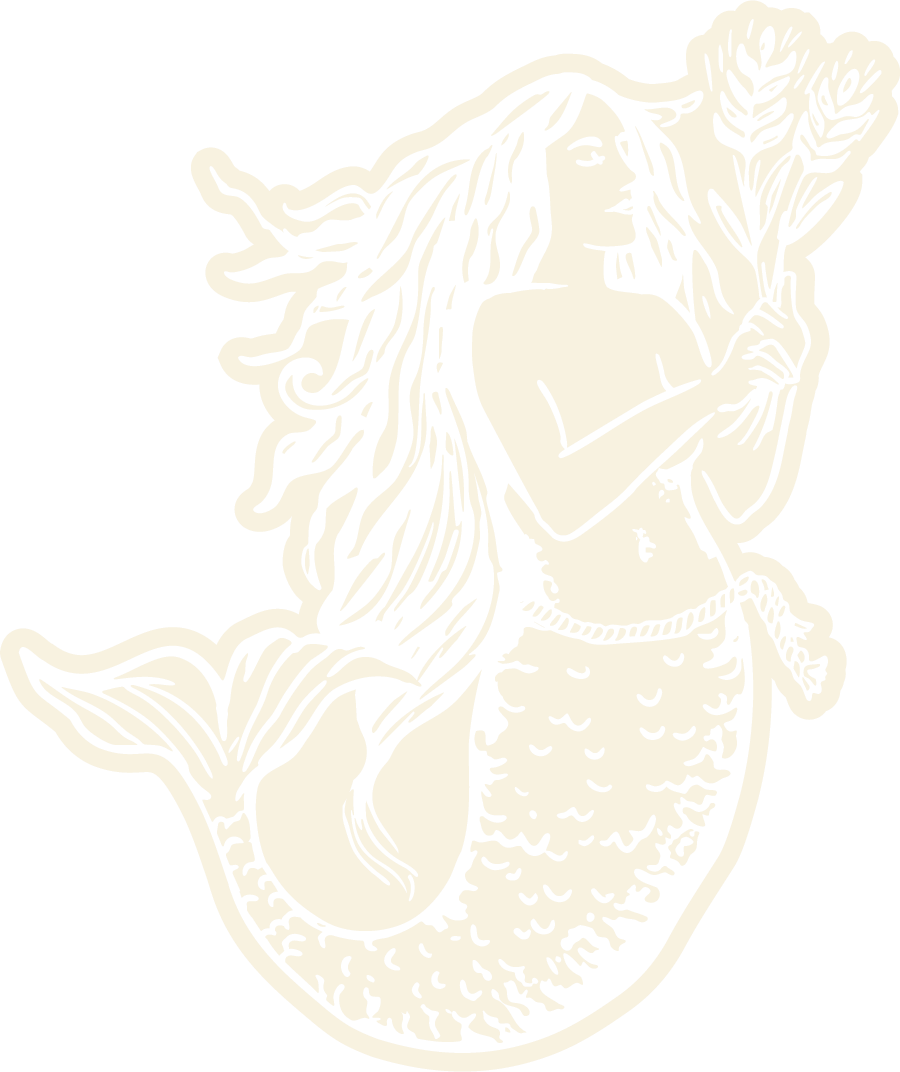Illustration of a mermaid with long flowing hair, holding a bunch of leaves or plants, depicted in black and white.