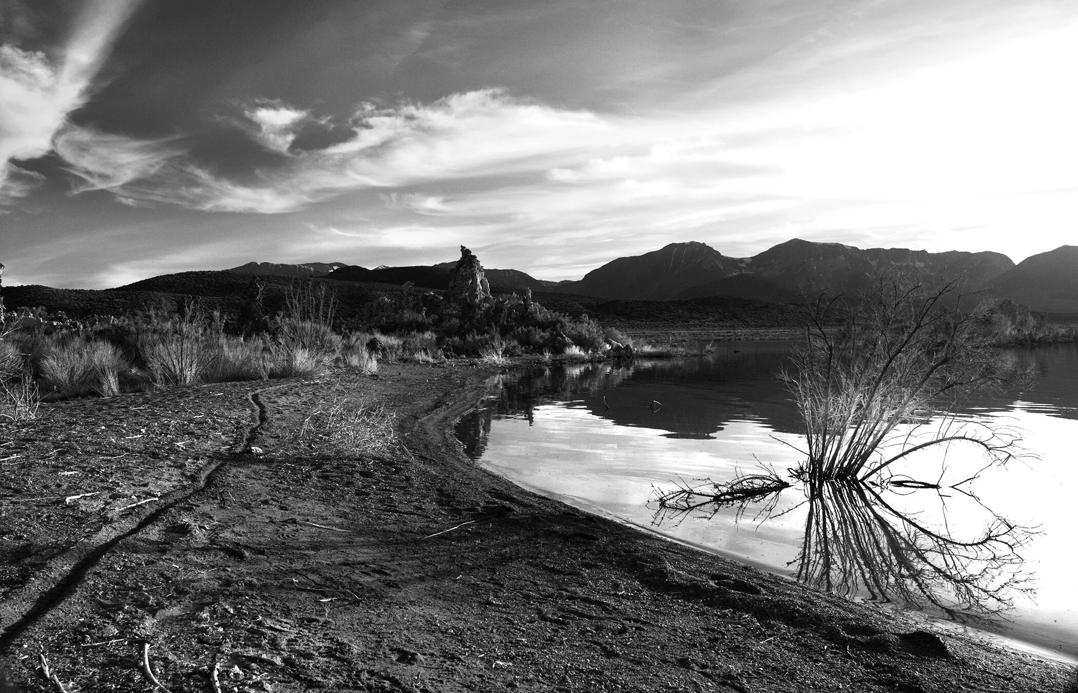 LisaCzulinski_Photography_COVER.jpg
