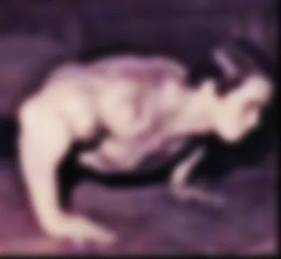 Don't Fear The Push-up: Part 1