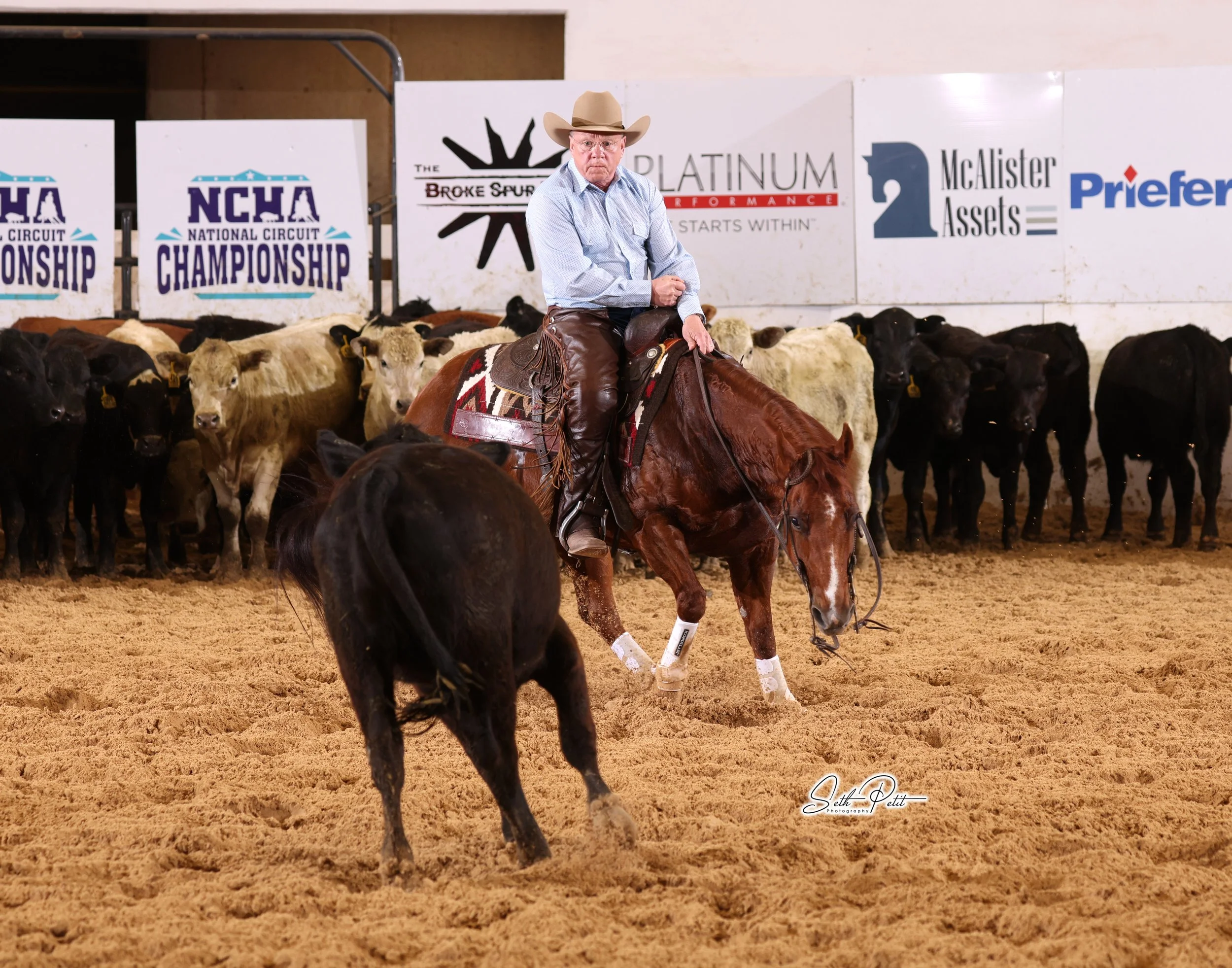 Thomas Wiens_Vivians Cat_294A0018.jpg