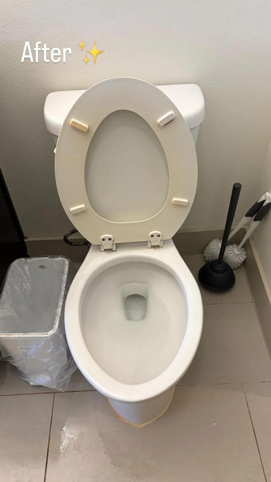 A clean white toilet with its lid up, positioned next to a small trash bin with a plastic liner, and a toilet brush and plunger on the floor beside it, against a beige wall.