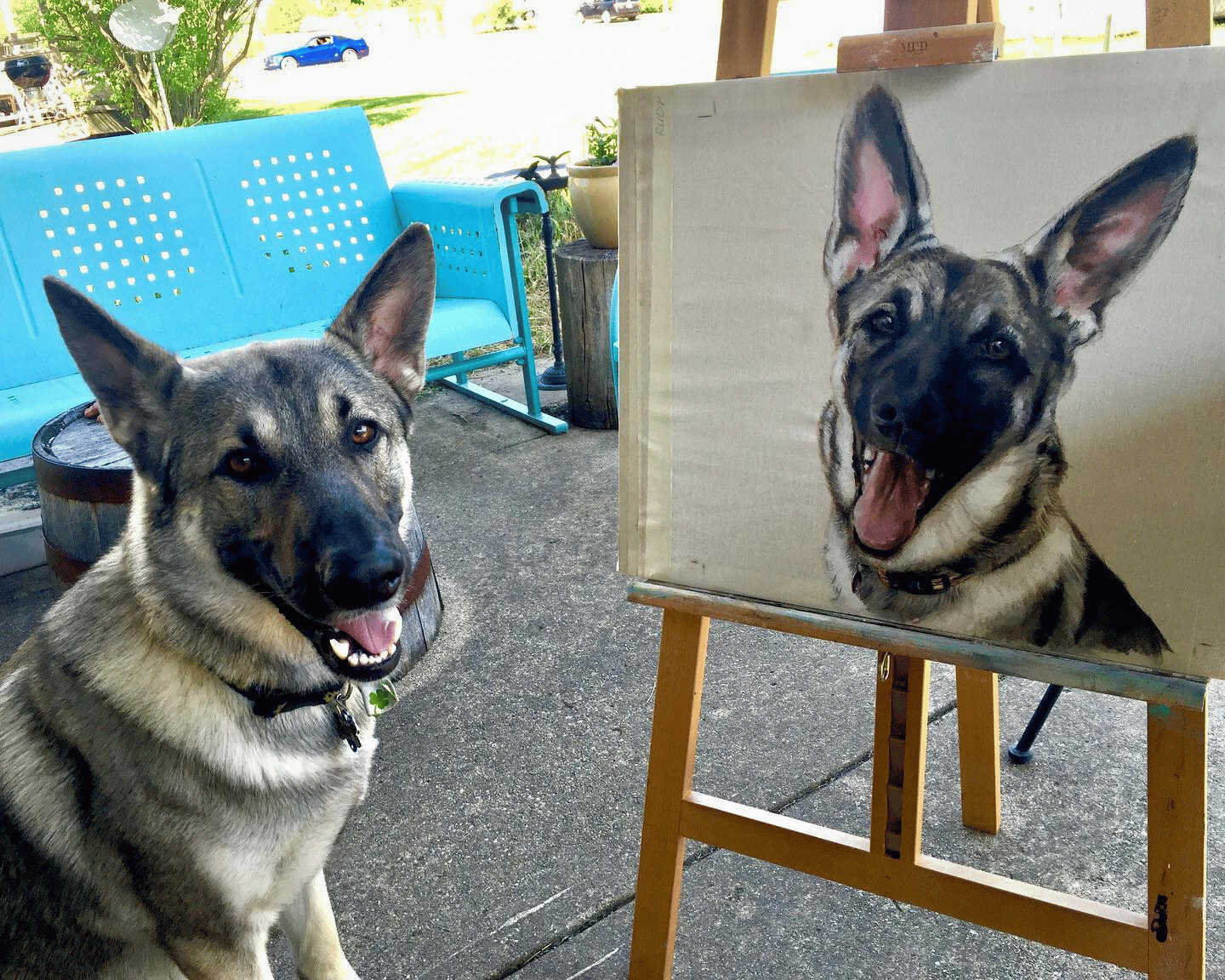 A dog with a collar sitting outside near a blue bench, with a portrait of the same dog on an easel nearby.