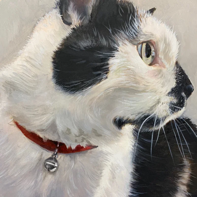 Close-up painting of a black and white cat with green eyes, wearing a red collar with a silver bell, looking to the right.