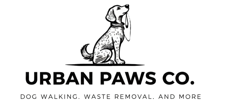 Oklahoma City&#39;s Trusted Dog Walker