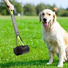 Pet Waste Removal