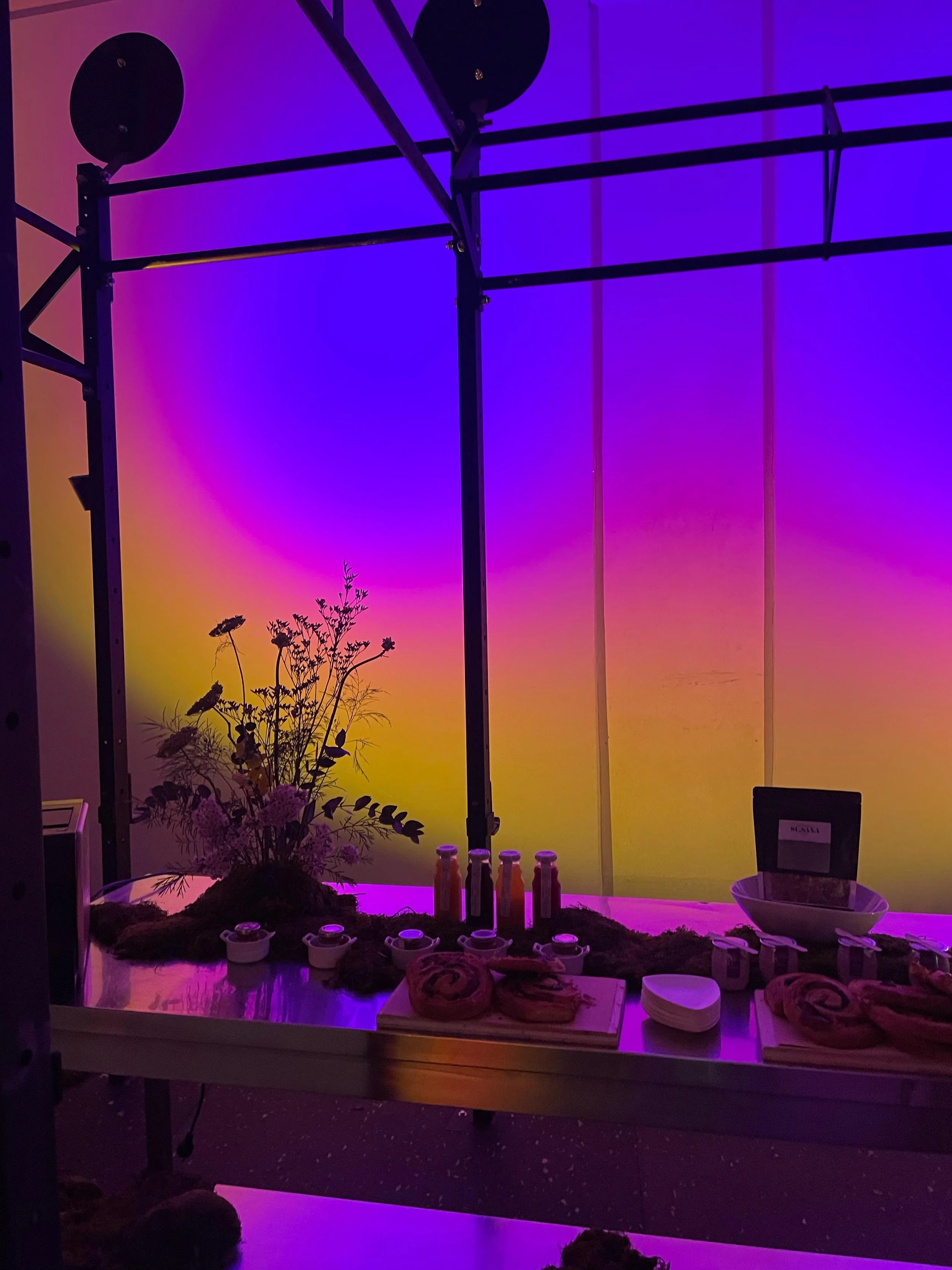 Set up di un banchetto con pizza, dolci e bevande, decorato con luci colorate viola, rosa e arancione, con piante e fiori.