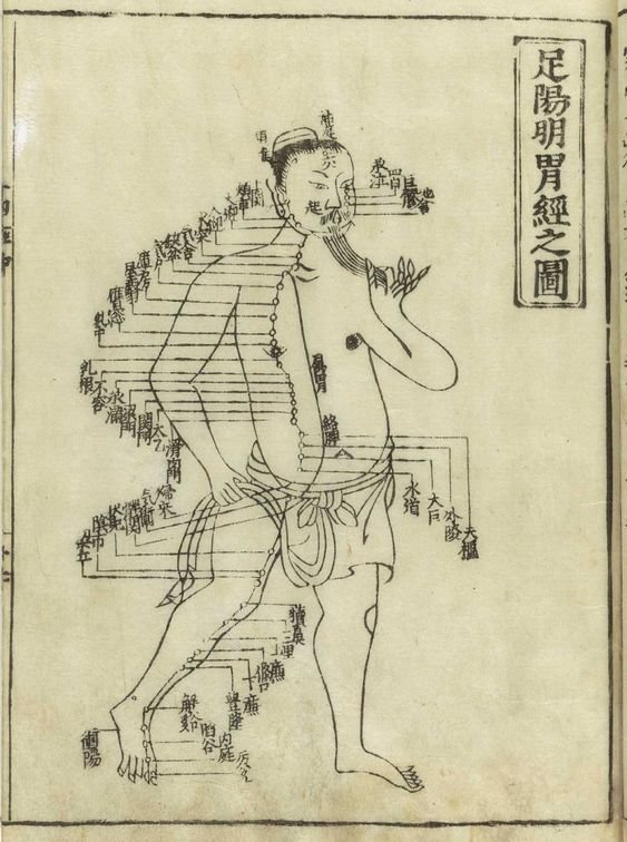 Agopuntura: lungo le linee del nostro corpo