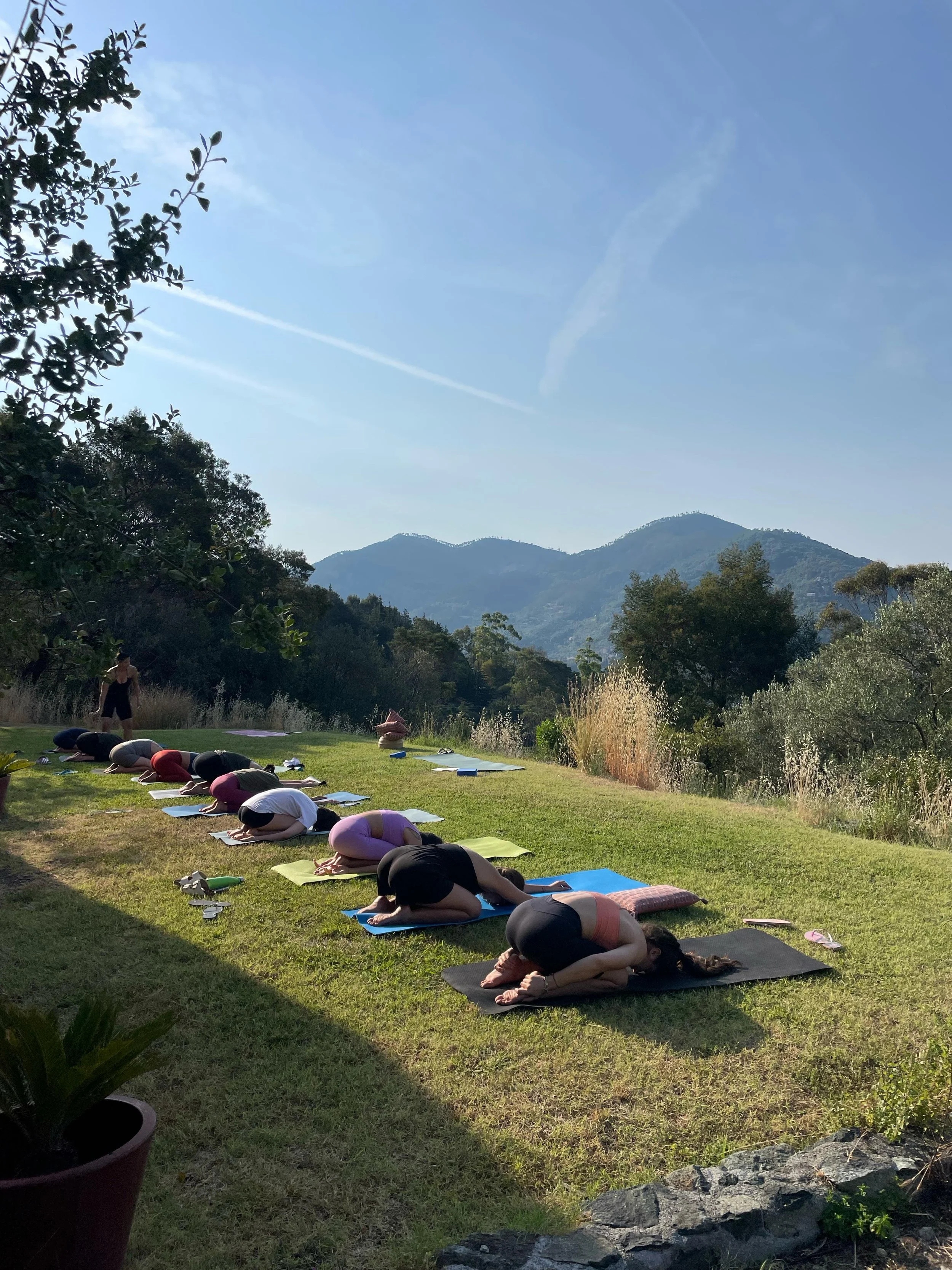 Gente che pratica yoga all'aperto in un prato con vista sulle montagne e cielo soleggiato.