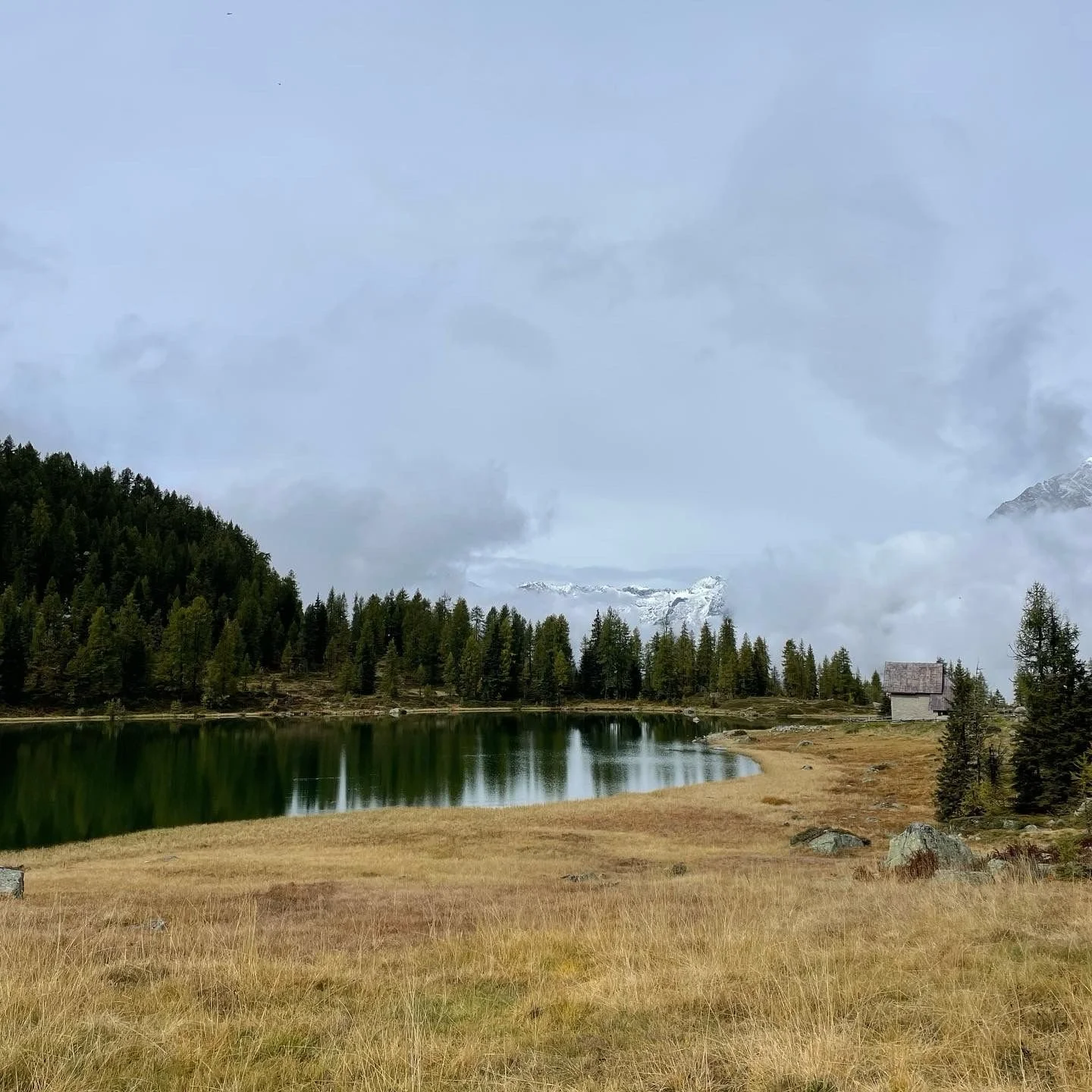 Scena naturale con lago, boschi di pini, montagne con neve e una piccola casa di legno.