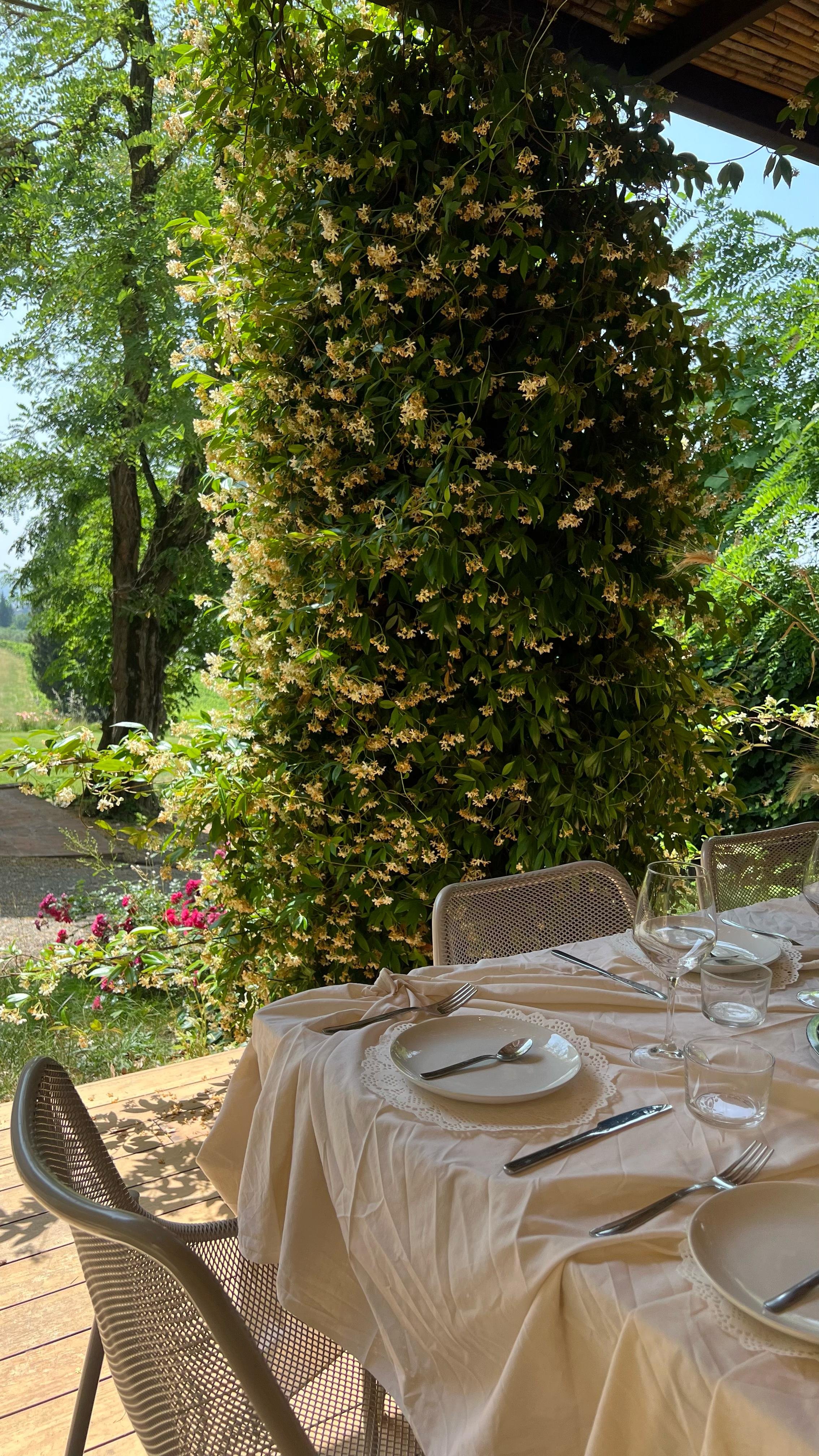 Tavola apparecchiata con tovaglia bianca, piatti, bicchieri e posate, all'aperto sotto un albero con rami e foglie verdi, in un giardino con fiori e alberi.