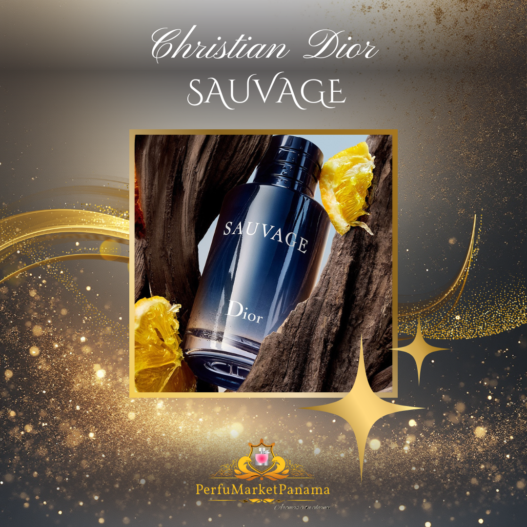 Christian Dior | Sauvage | EDT | H | 100mL