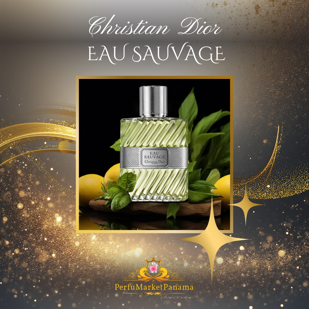 Christian Dior | Eau Sauvage | Parfum | H | 100mL