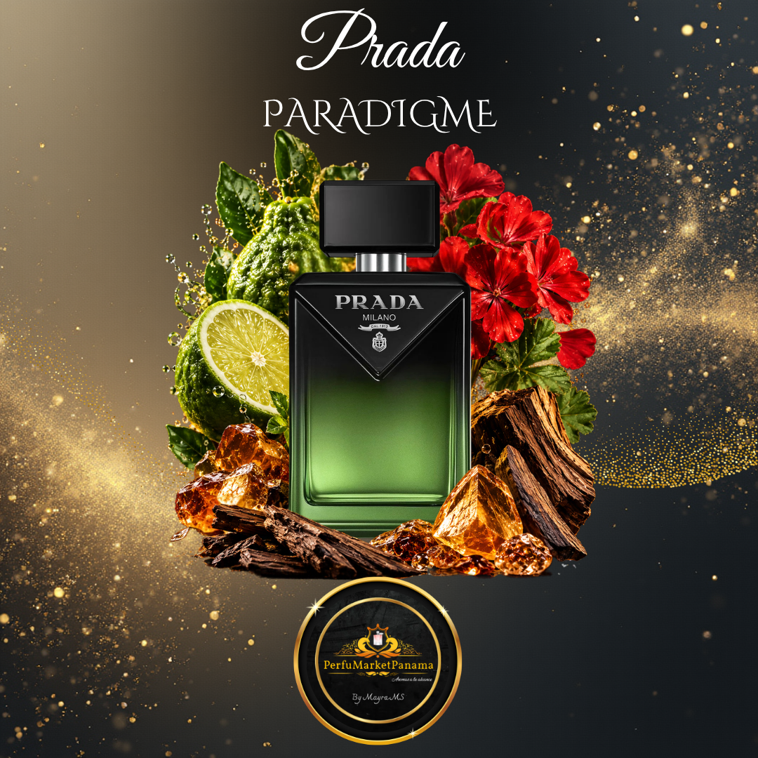 Paradigme.png