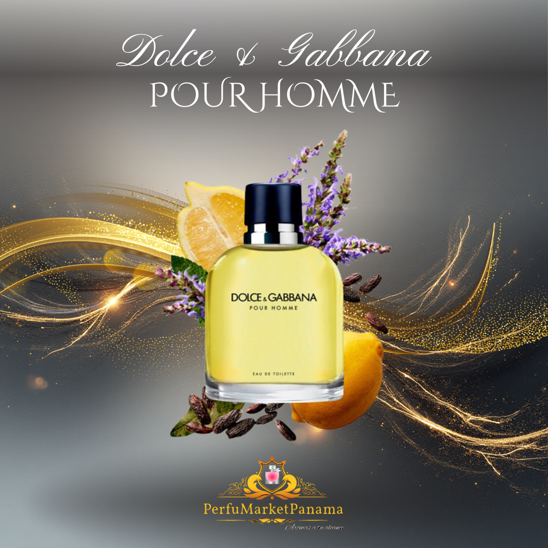 Dolce & Gabbana | Pour Homme | EDT | H | 125mL