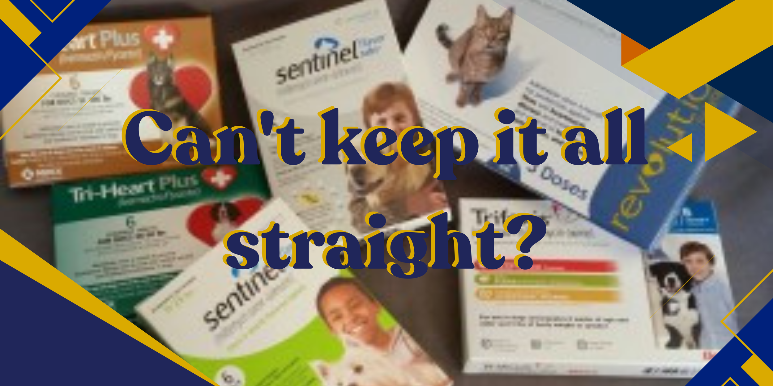 Parasite Preventions