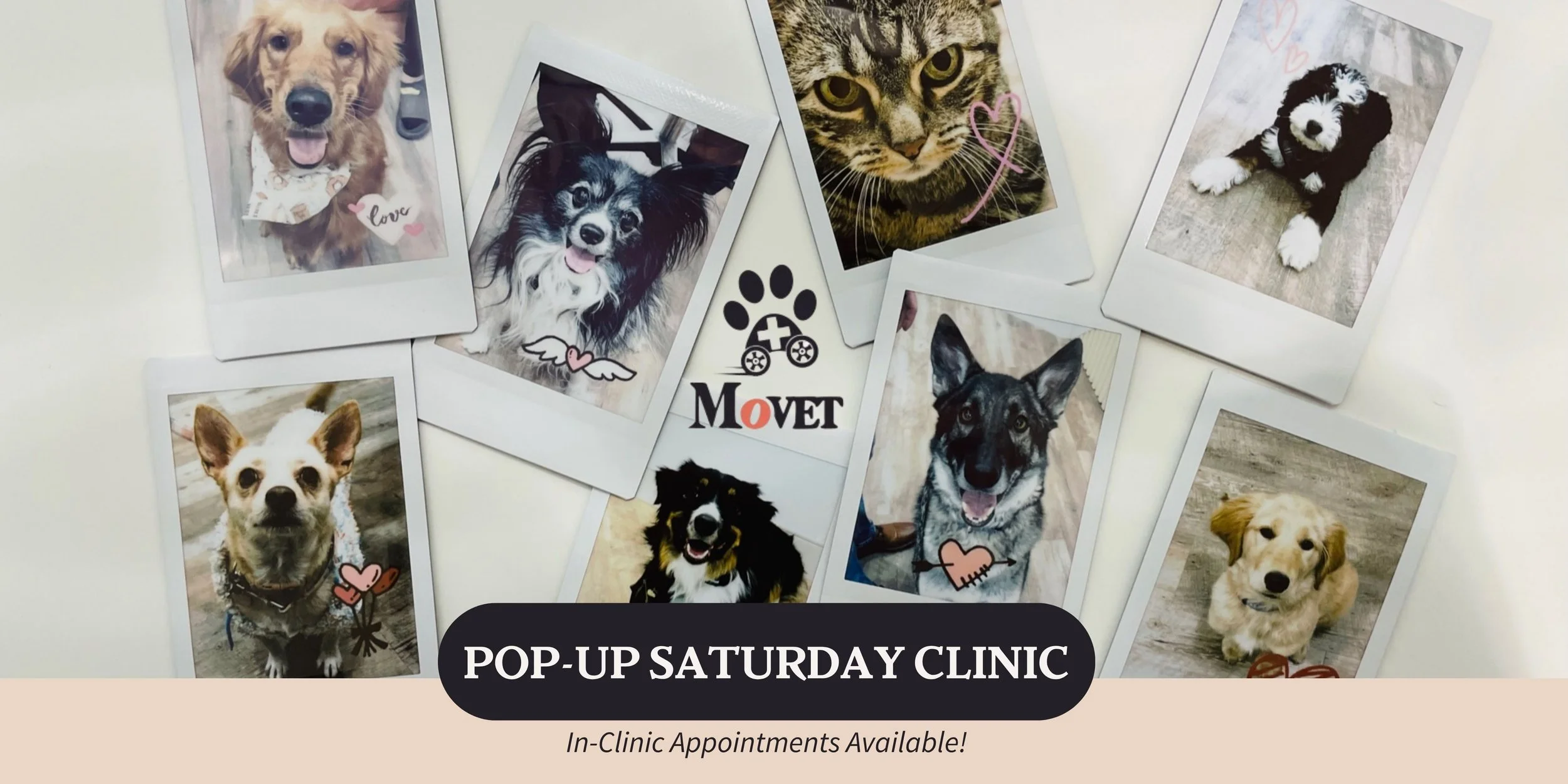 Weekend Wellness, Made Easy: Introducing MoVET’s Pop-Up Saturday Clinics