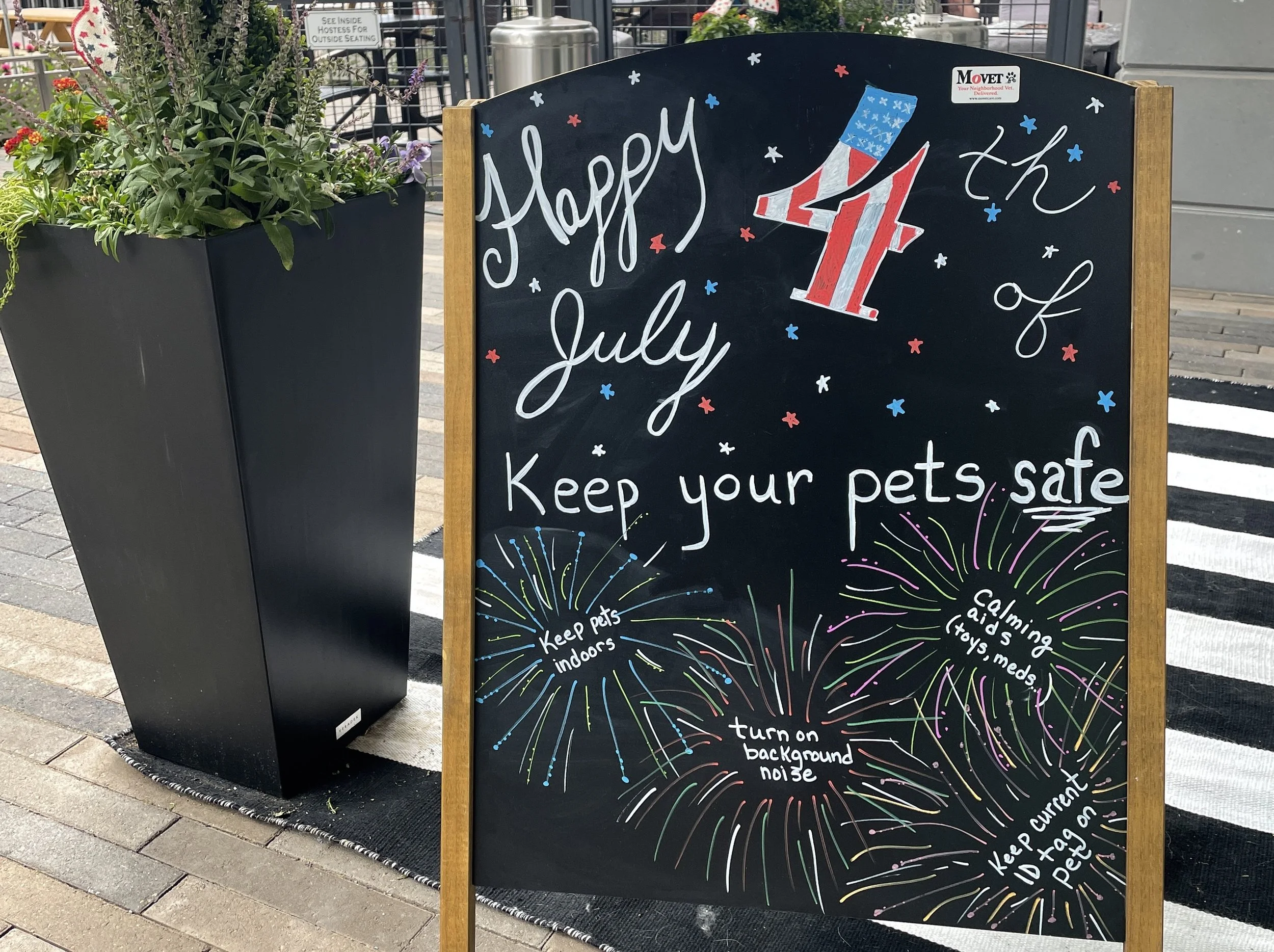 Keeping Pets Safe on the 4th of July: Fireworks, Anxiety, and Emergency Prep