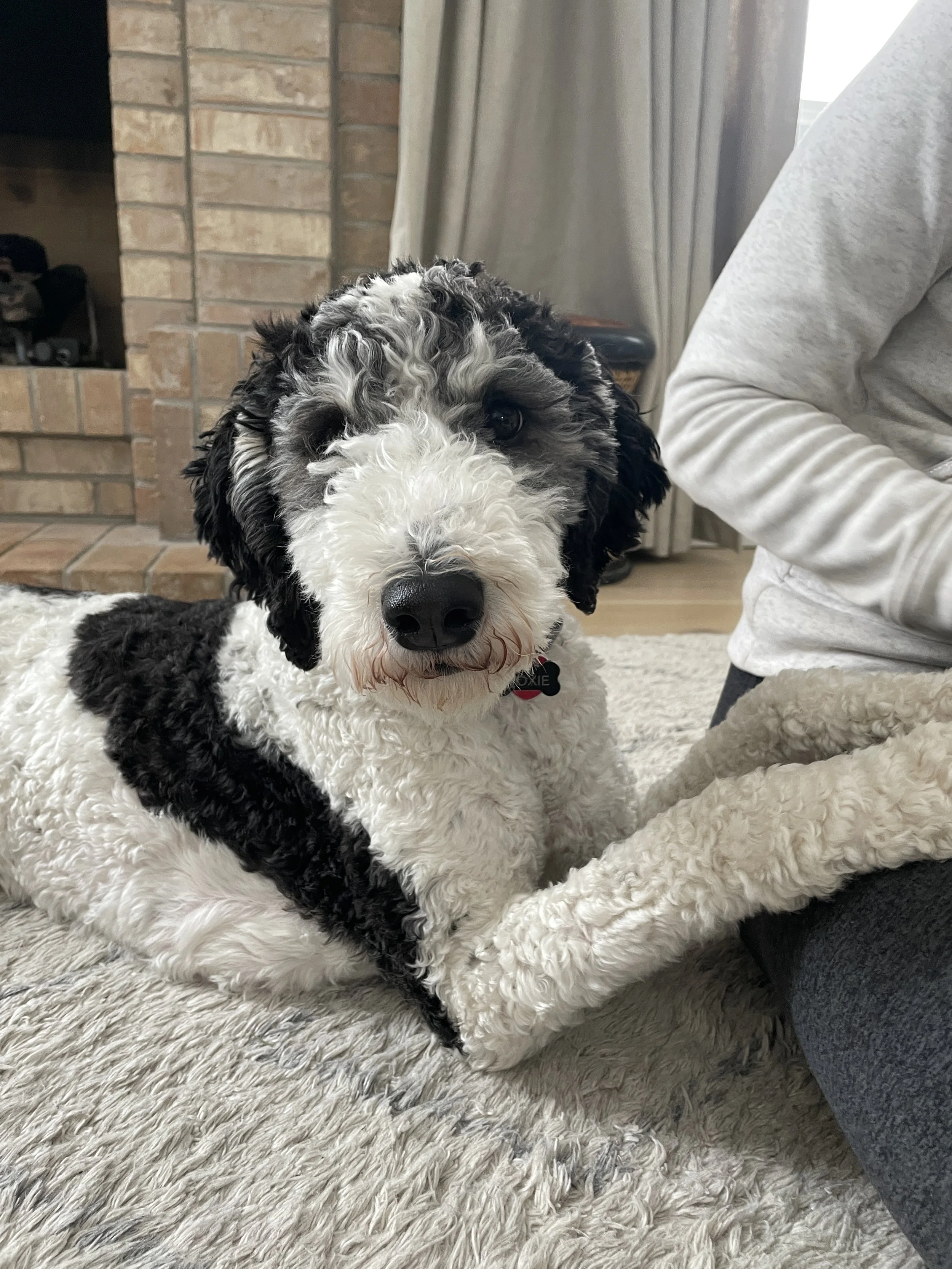 Moxie Wilson (5007).JPG