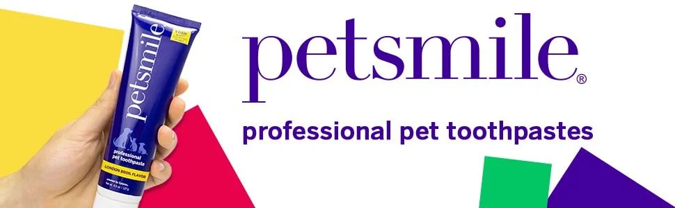 Hand holding a tube of Petsmile professional pet toothpaste, with colorful geometric shapes and the Petsmile logo on the packaging.