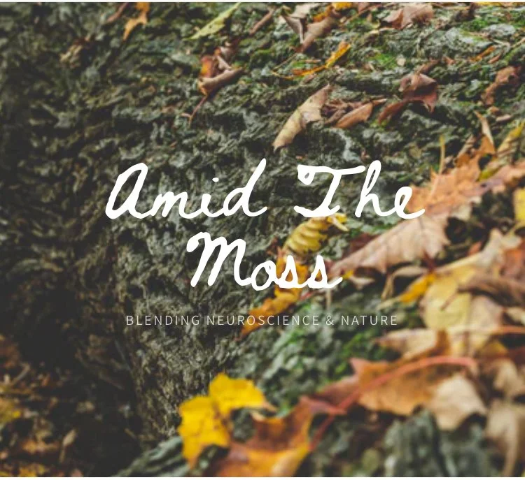 Acquaintances Matter