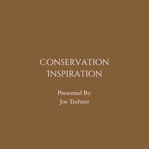 powerpoint logos -ci.png