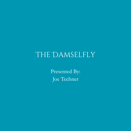 powerpoint logos -damselfly.png