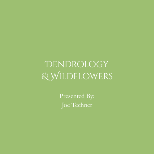 powerpoint logos.png