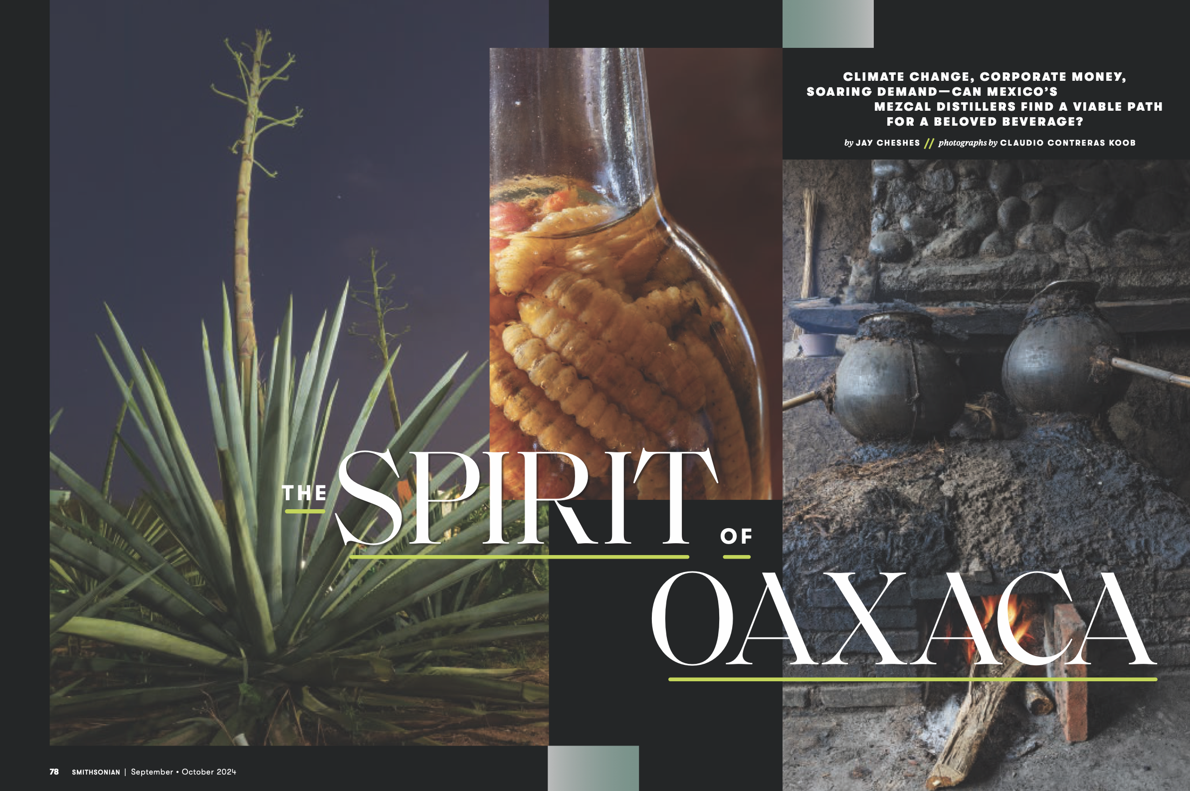 The Spirit of Oaxaca: Climate change, corporate money, soaring demand—can Mexico’s mezcal distillers find a viable path for a beloved beverage?