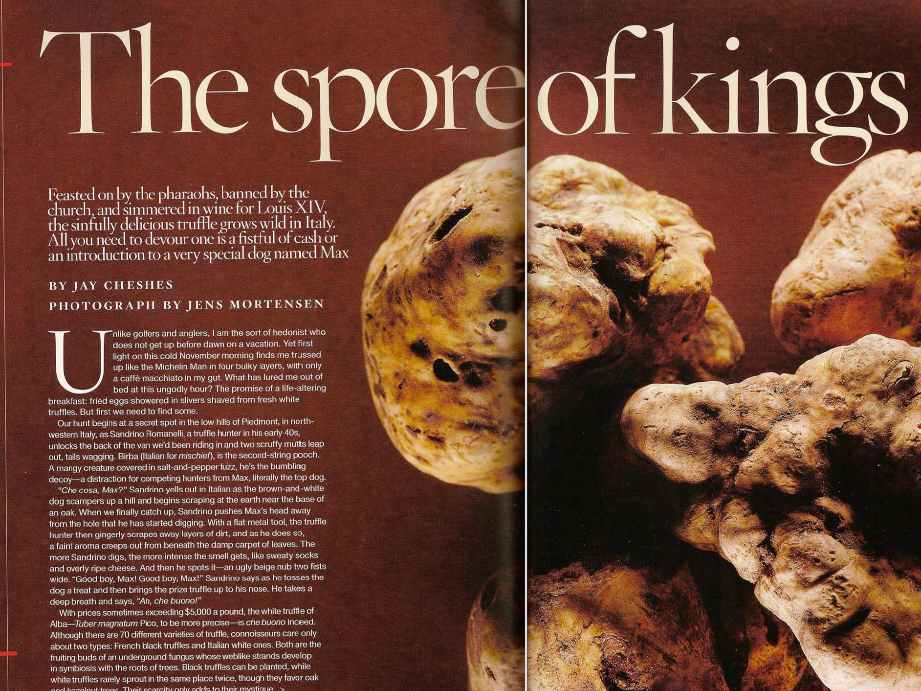 BEST LIFE | The Spore of KIngs 
