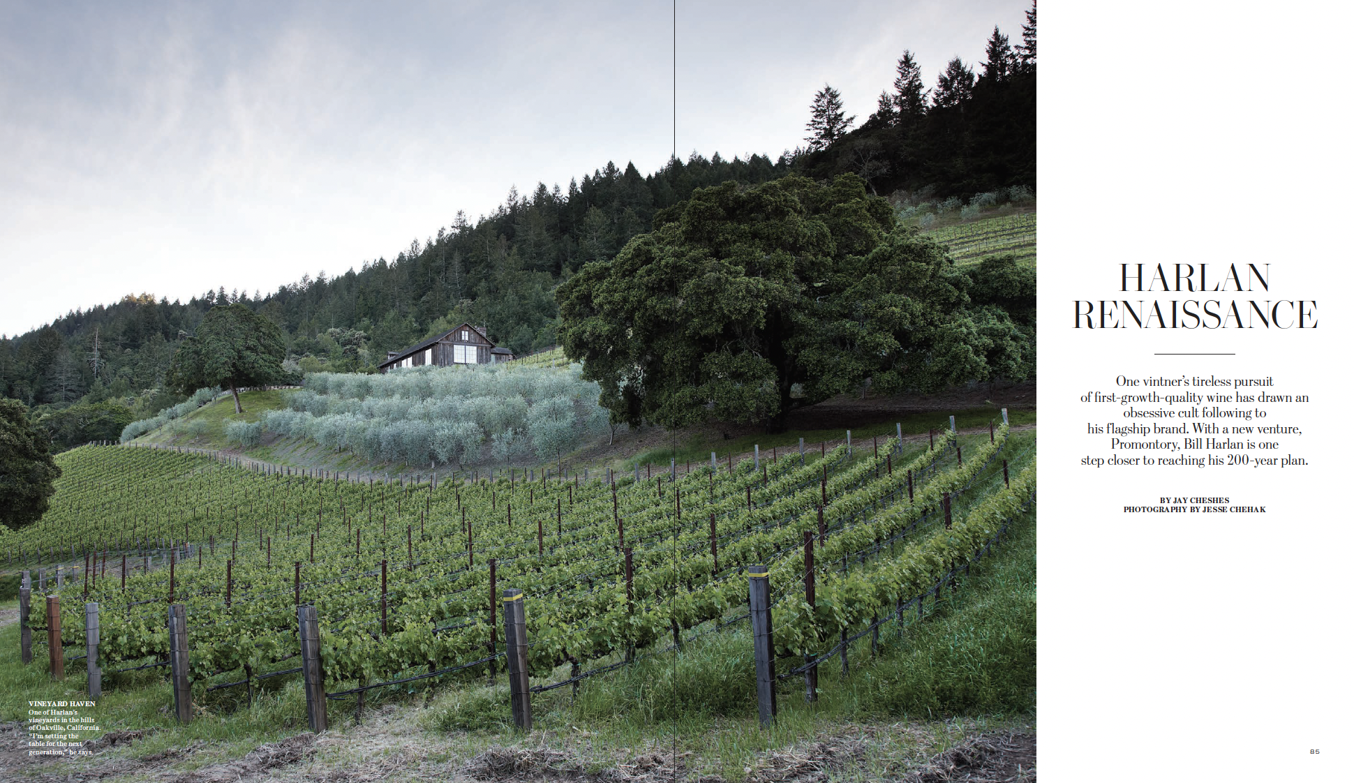 Harlan Renaissance: One vintner’s tireless pursuit of first-growth-quality wine has drawn an obsessive cult following to his flagship brand. With a new venture, Promontory, Bill Harlan is one step closer to reaching his 200 year plan