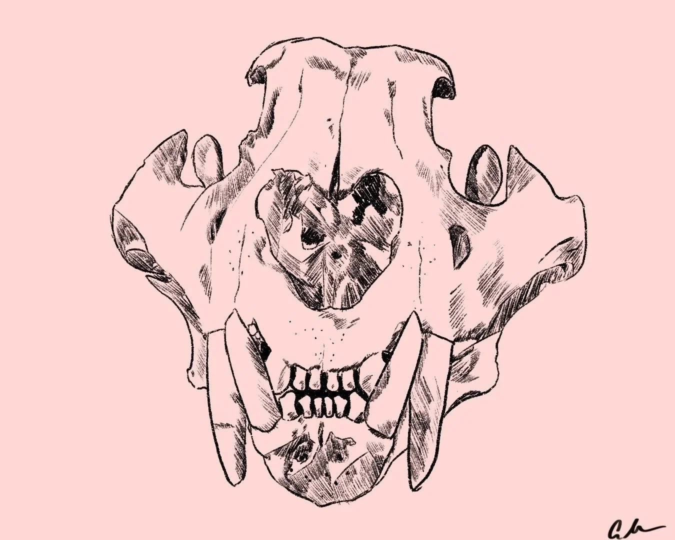 Untitled_Artwork+63.jpg