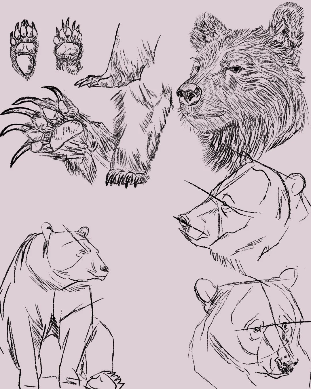 Untitled_Artwork 60.jpg