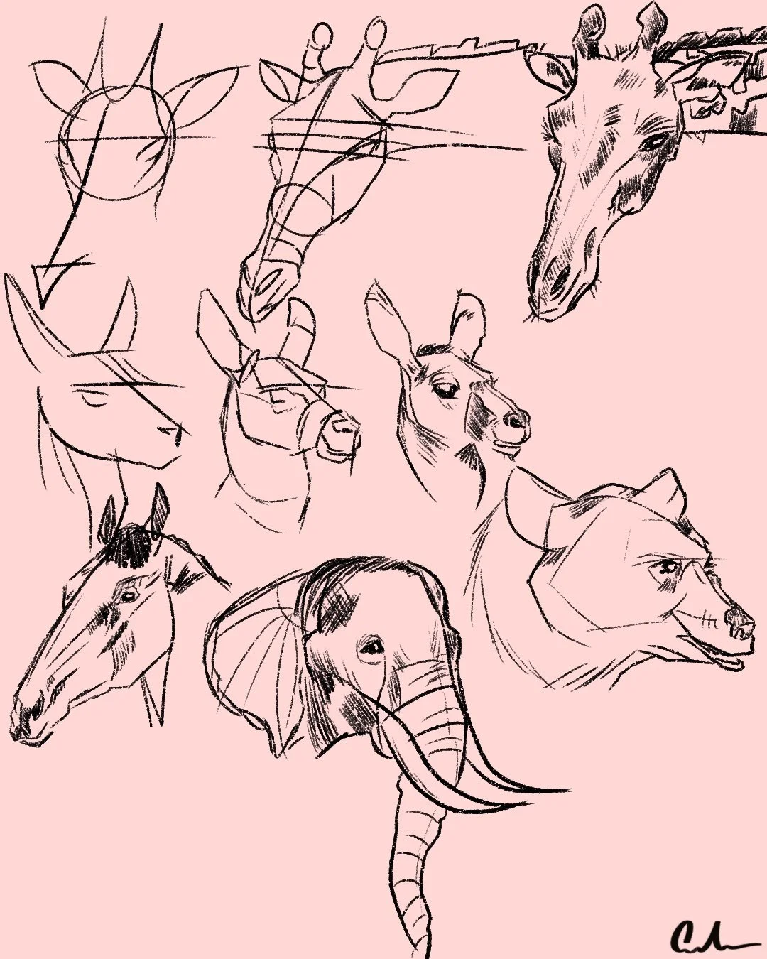 Untitled_Artwork 59.jpg