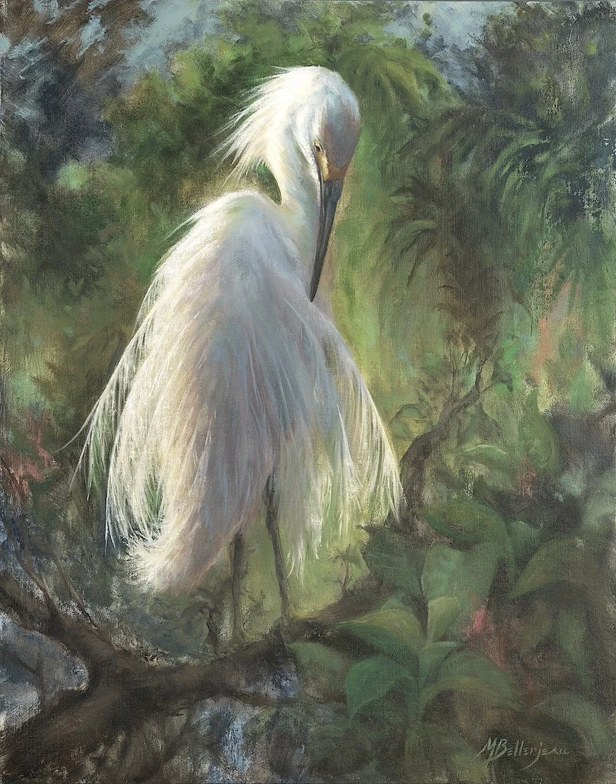 Artists for Conservation 2025 Virtual Exhibit