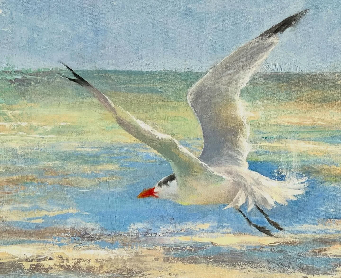His highness is headed to the elegant Elliott Museum for Martin Artisans Guild&rsquo;s Open Studio Tour Preview exhibit, THIS Thursday, Feb 5, 5:30-7:30 pm.
&ldquo;Against the Wind&rdquo; oil on linen board, 16x20 - this is a Royal Tern I photographe