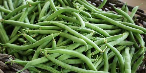 Farm Tour: Root 5 Farm