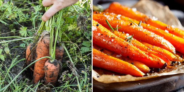 Webinar: Sourcing and Selling for the Restaurant Market