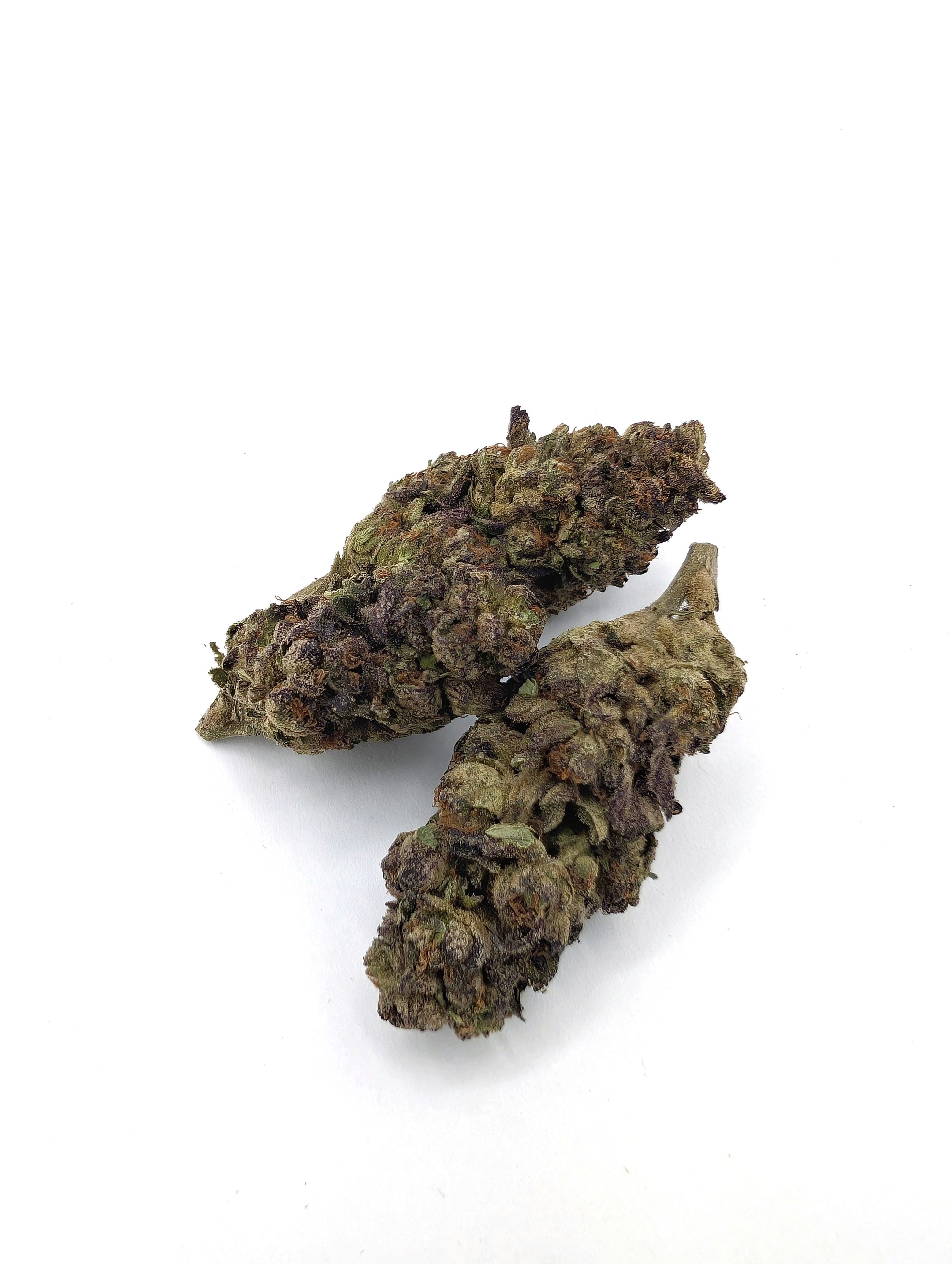 Greenhouse Grown Jealousy