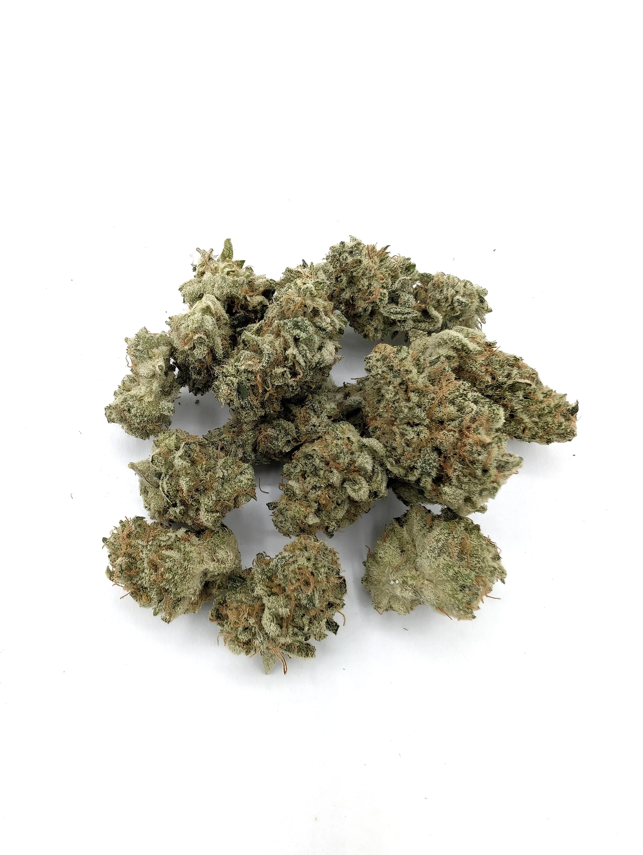 Indoor Living Soil Grown Animal Crossing Medium Buds