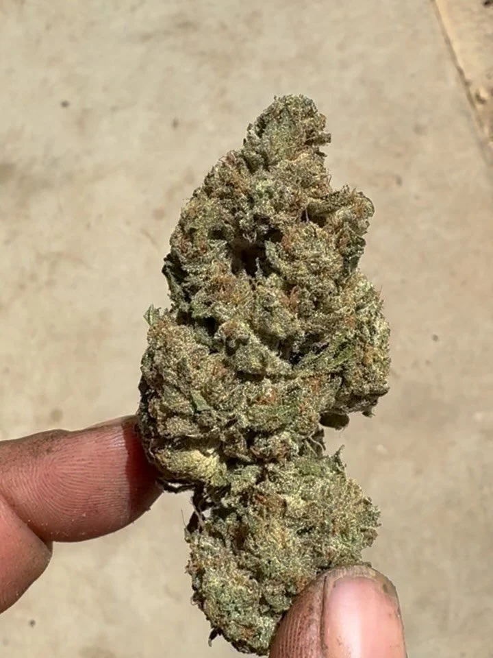 Ice cream cake!! Killing it!!!