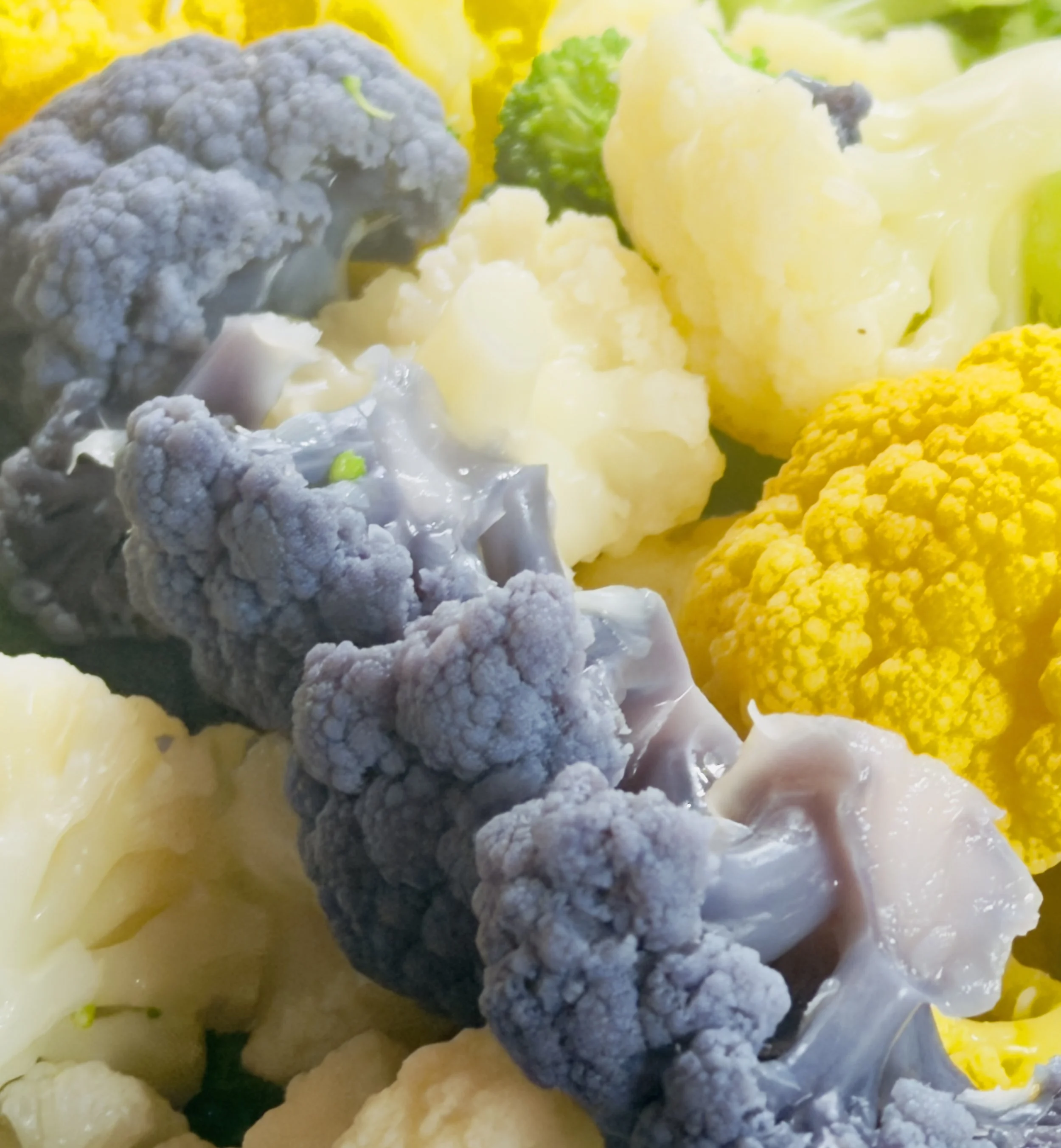 cauliflower.jpg