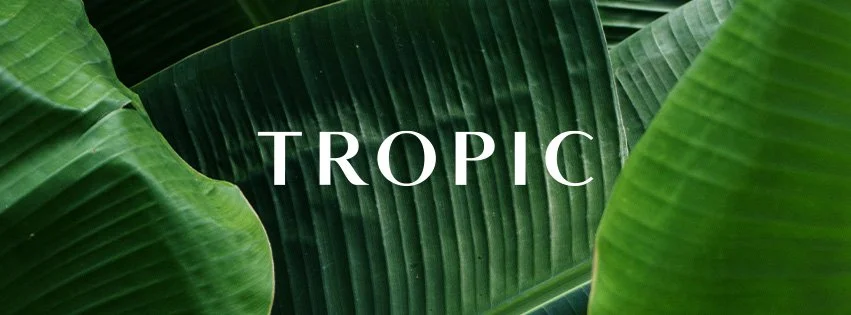 Close-up of tropical green leaves with the word 'TROPIC' in the center.