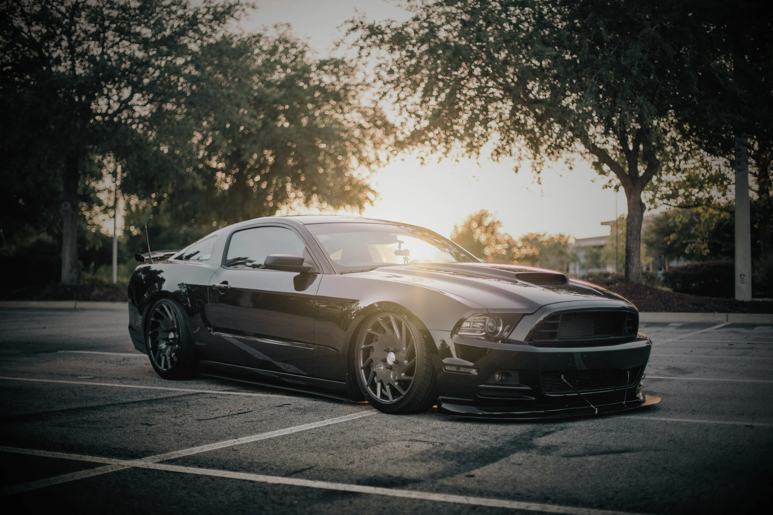 Clean Mustang in a parking lot image
