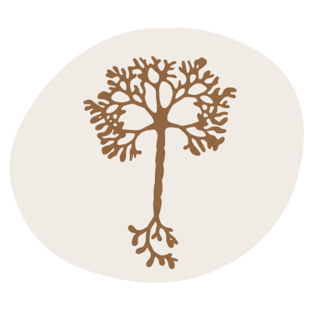 Rooted Mental Health Services PLLC